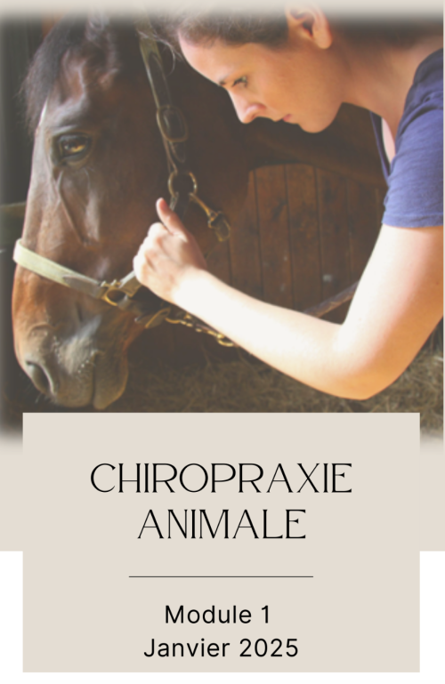 CHIROPRAXIE ANIMALE